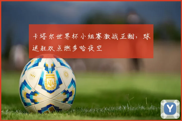 卡塔尔世界杯小组赛激战正酣，球迷狂欢点燃多哈夜空