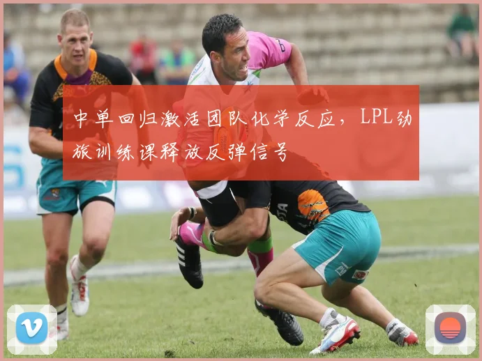 中单回归激活团队化学反应，LPL劲旅训练课释放反弹信号