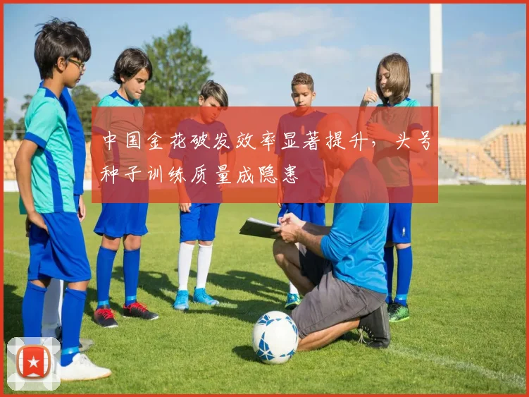 中国金花破发效率显著提升，头号种子训练质量成隐患