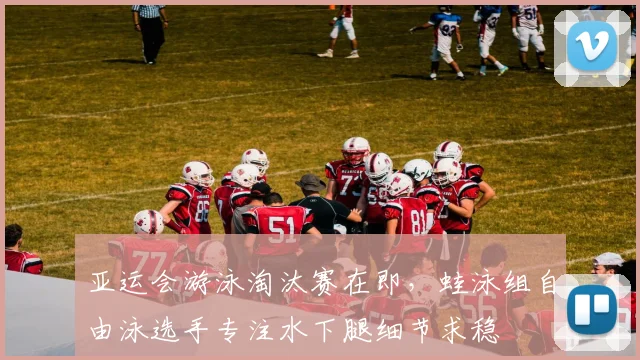 亚运会游泳淘汰赛在即，蛙泳组自由泳选手专注水下腿细节求稳